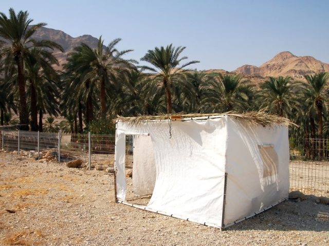 depositphotos סוכה 