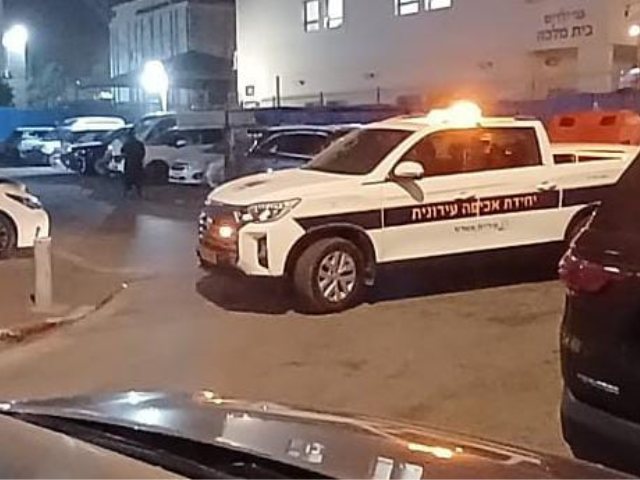צילום: א. מיכאלי