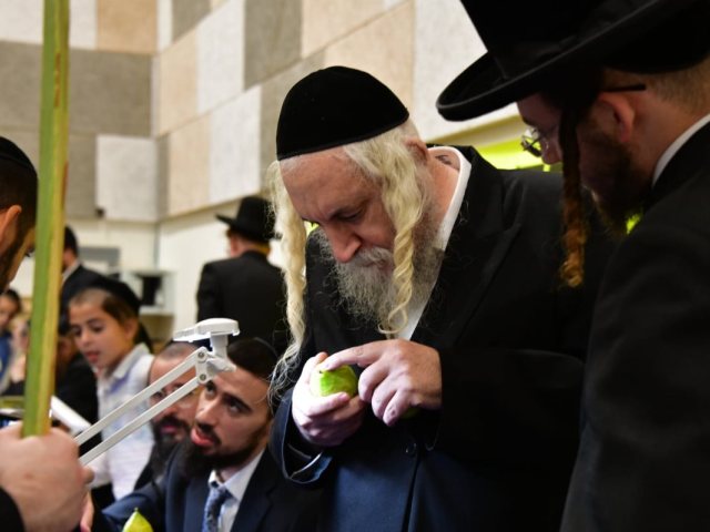 שוק ארבעת המינים. יוסי לוי