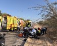 צילום: אשדוד נט