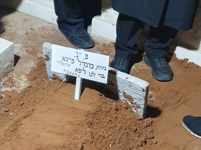 צילום: באדיבות המצלם