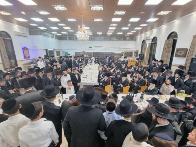 צילום: א' מיכאלי