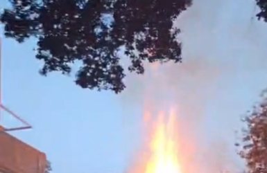 הלהבות בכביש S. צילום: חמל