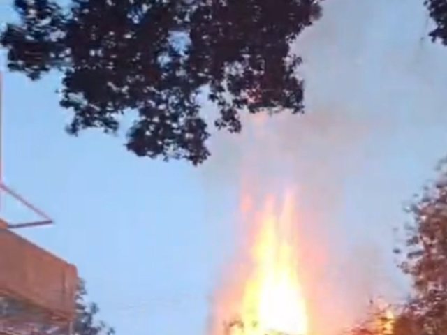 הלהבות בכביש S. צילום: חמל