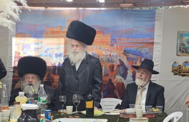 צילום: א' מיכאלי