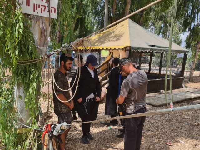 בין הזמנים באווירה רוחנית. מאוגדים