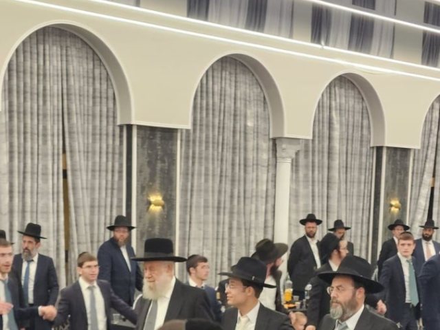 חתונת ליפשיץ. צילום: המצלם