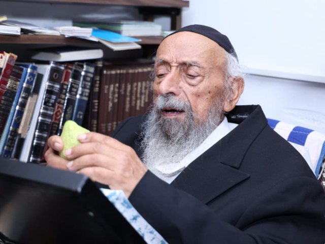 צילום: דוד ארזני