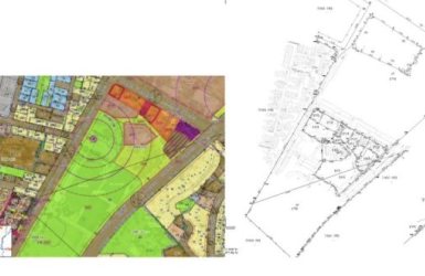 תוכנית בית המשפט