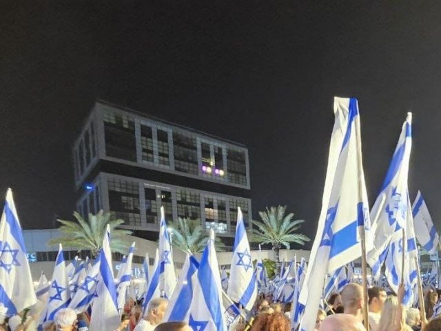 צילום: אשדוד נט