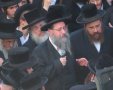 צילום: א' מיכאלי