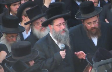 צילום: א' מיכאלי