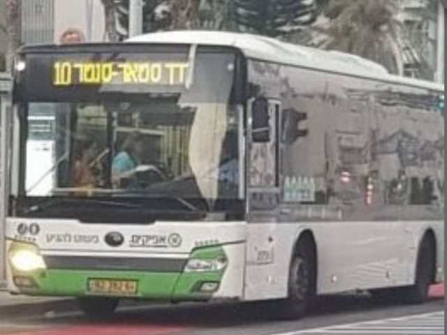 קו 10 של אפיקים (צילום: מולי מנדלסון)