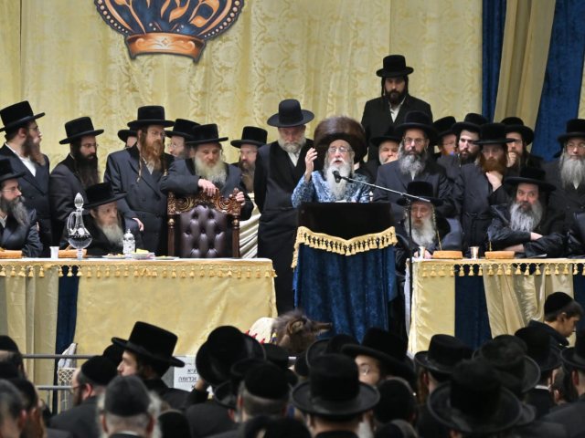פדיון פטר חמור מעליץ. יהושע פרוכטר