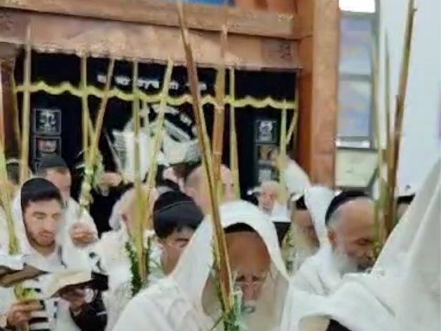 ארבעת המינים בחודש חשון. א' מיכאלי