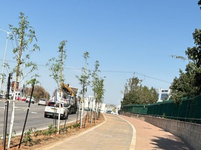 צילום: עירית אשדוד