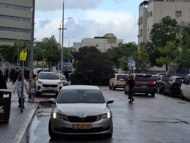 העץ שקרס. צילום: רץ ברשת ומתפרסם על פי סעיף 27א בחוק זכויות יוצרים