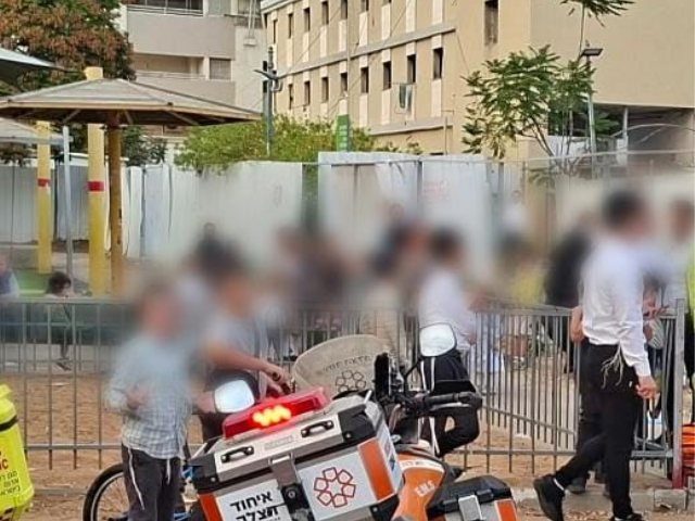 הפינוי מהגינה. איחוד הצלה