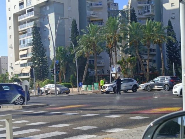 צילום: חיים שטרן