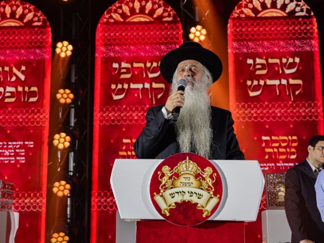 צילום: א. מיכאלי