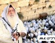 ברכת כהנים. א' מיכאלי
