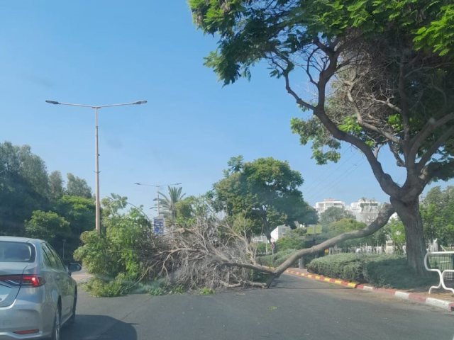 באדבות המצלם