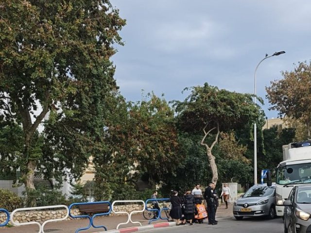 צילום: ח. י.