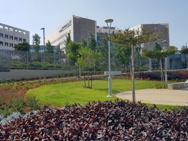 בית החולים אסותא באשדוד (צילום: עופר אשטוקר)