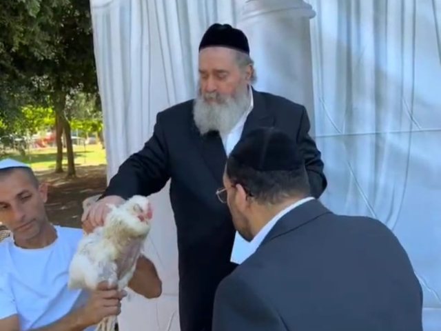 צילום: א. מיכאלי