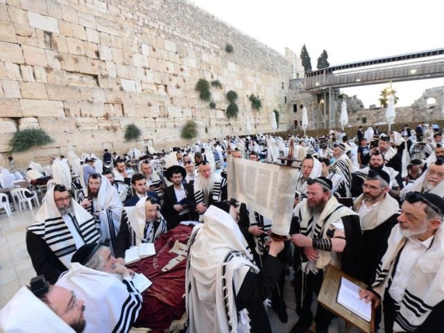 הכותל המערבי. שוקי לרר