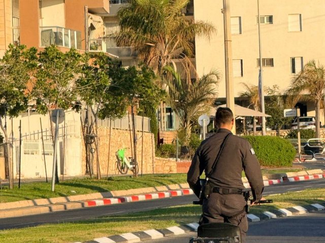 צילום: עירית אשדוד