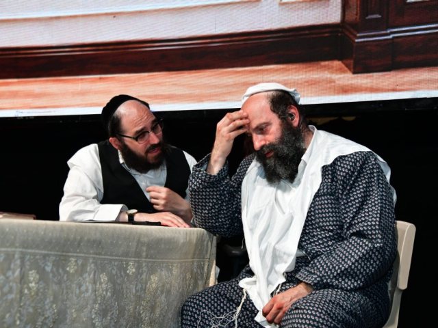 צילום: יוסי לוי