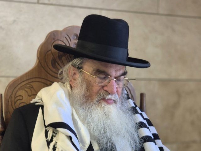 צילום: א' מיכאלי