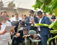 הגרי אברגיל בברכת האילנות. א' מיכאלי
