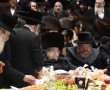"אילן במה אברכך": אלפים בטיש ט"ו בשבט בחצר בעלזא (גלריה)