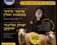 שיעור מעגלים