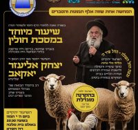 שיעור מעגלים