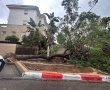 ביום חמישי: שוב גשמים חזקים וחשש כבד להצפות. תחזית מזג האוויר לסוף השבוע הקרוב 