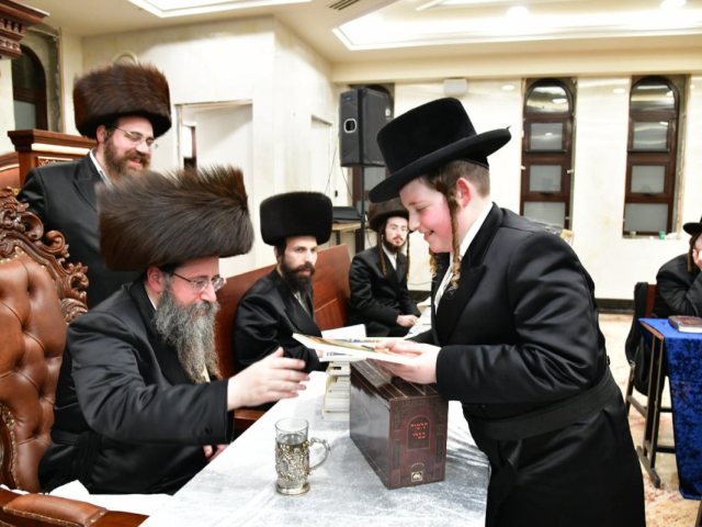 צילום: יוסי לוי