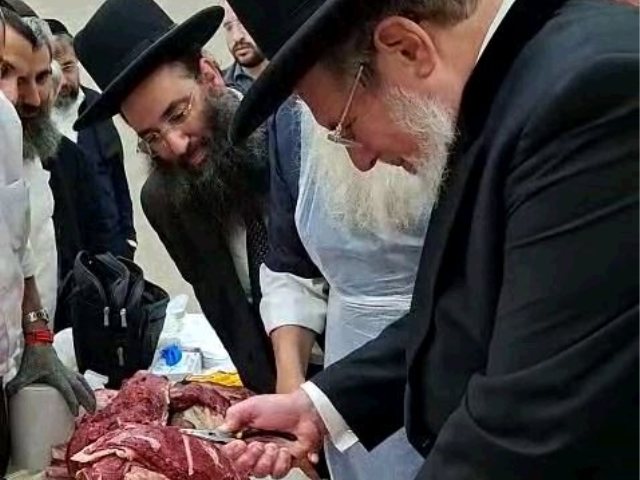 מפגש מנקרים. מ' מיכאלי