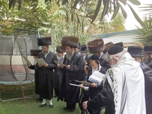 האדמו,ר מטאלנא בברכת האילנות
