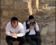 מתוך הסרטון