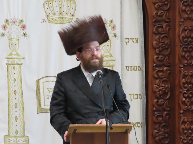הרב שמעון שפיצר