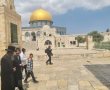 סערה בשכונה החרדית: כנס הילדים הפך לעידוד עליה להר הבית