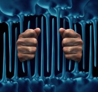 שבויים בתוך יער של פייק ניוז