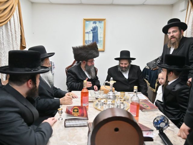הרב שלמה צבי אלתר אצל האדמור מטאלנא. תמטנה לפי חוק זכויות יוצרים 27 א