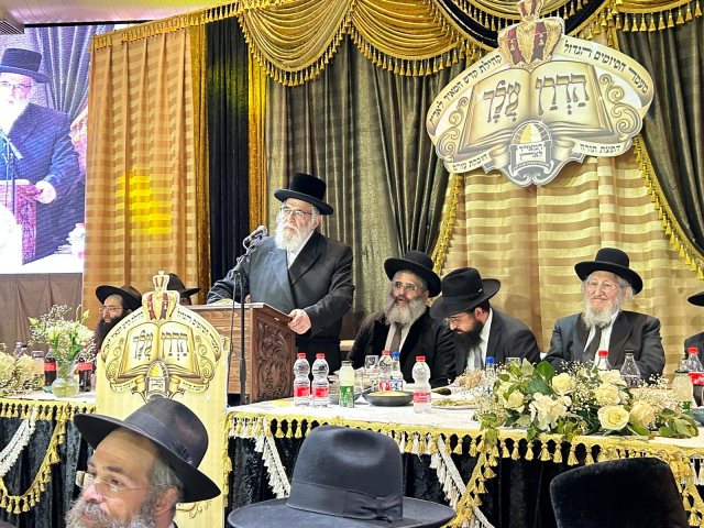 צילום: יחצ