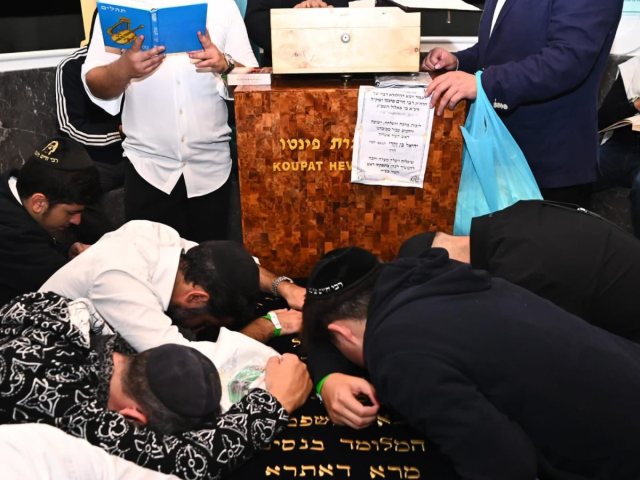 צילום: ציון שלום