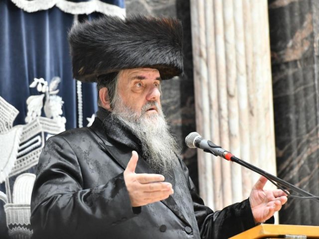 צילום: משה גולדשטיין