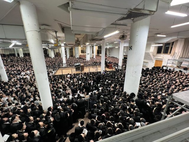 צילום: יחצ